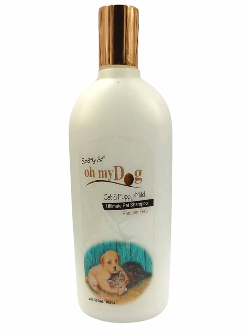 Can i use dog shampoo on my clearance cat