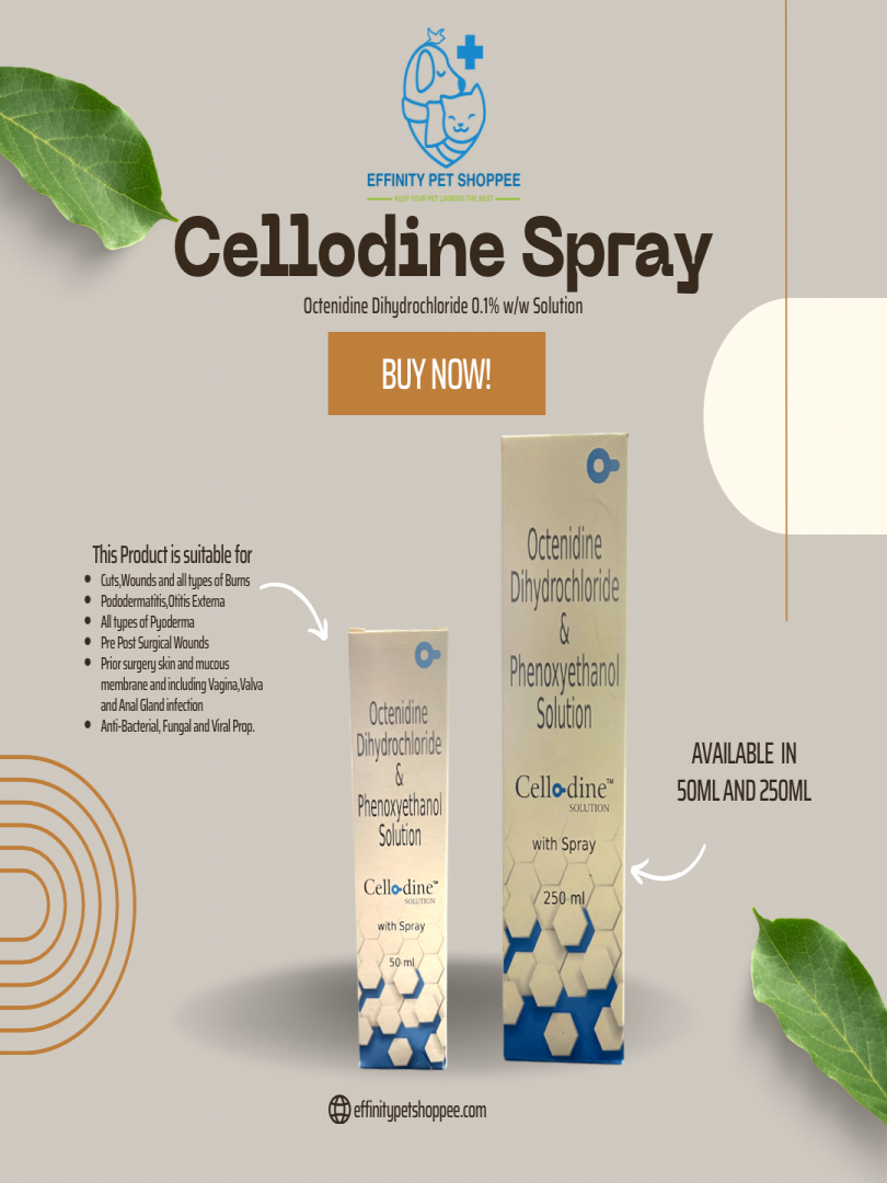 Cellodine Spray 50Ml Catalogue Image 1