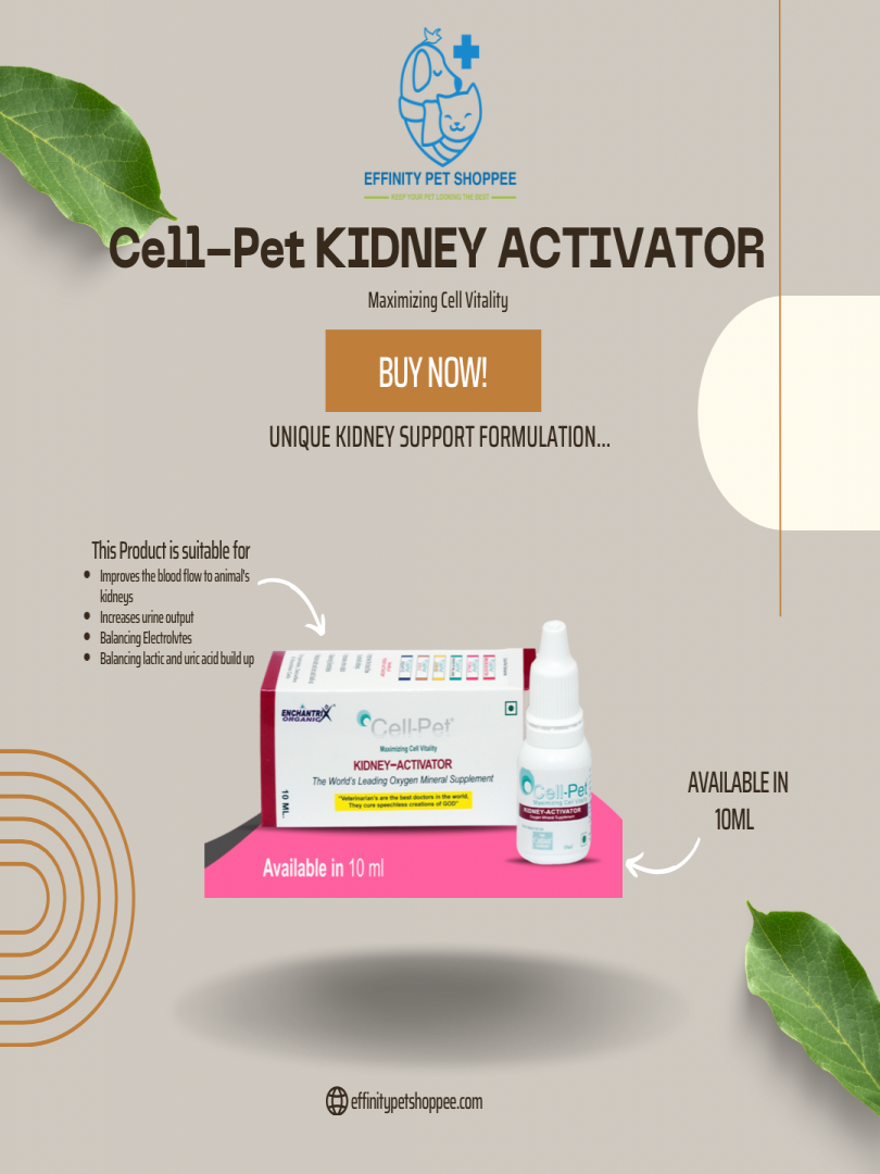 Cell-Pet KIDNEY ACTIVATOR 10Ml Catalogue Image 1