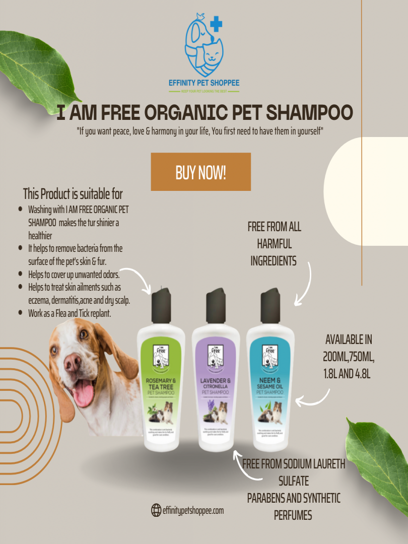 Rosemary best sale dog shampoo