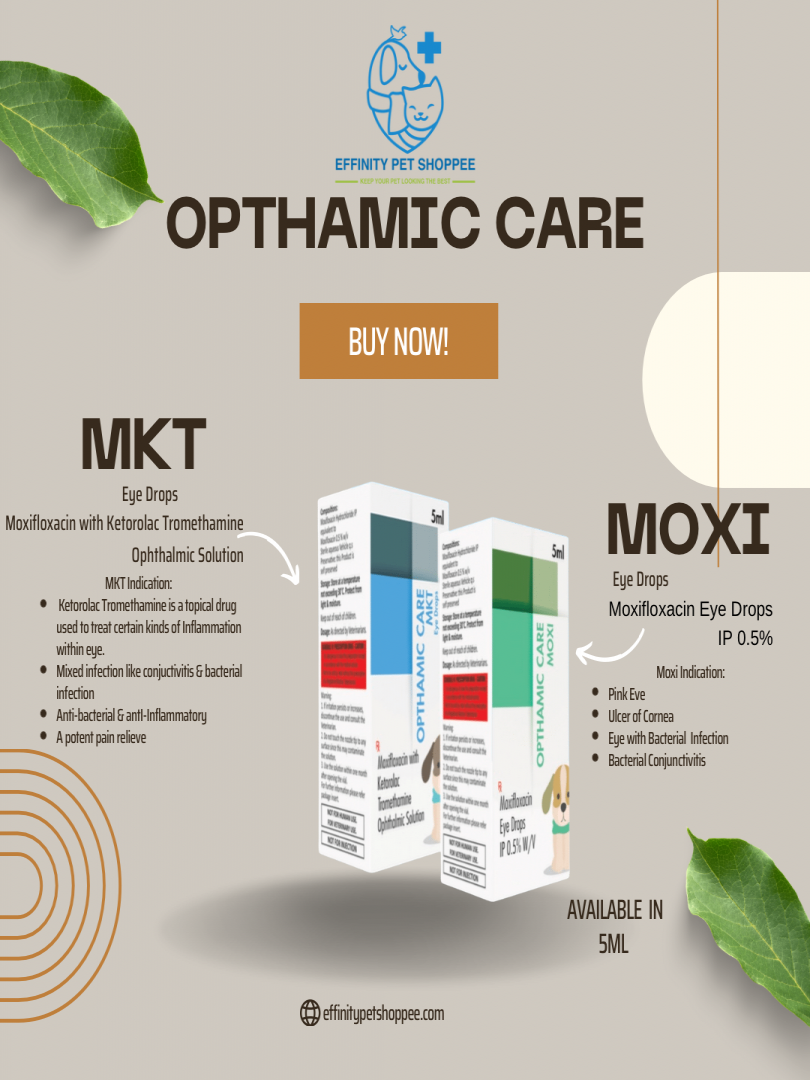 OPTHAMIC CARE MOXI EYE DROPS 5ml 2pcs Catalogue Image 1