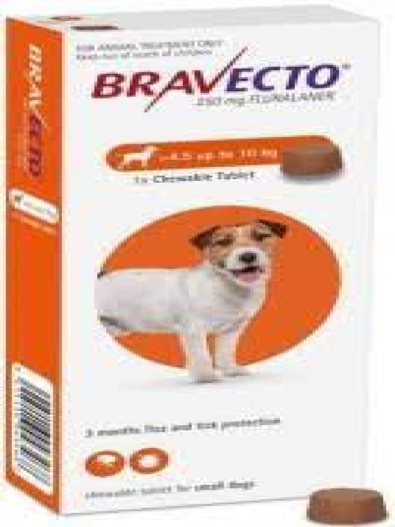 bravecto chat 250 mg prix