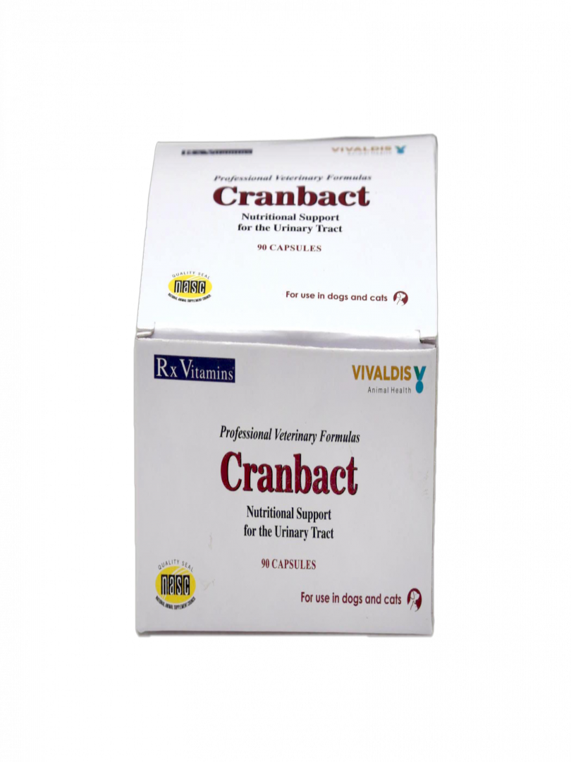 CRANBACT nutritional support for URINARY TRACT Catalogue Image 1