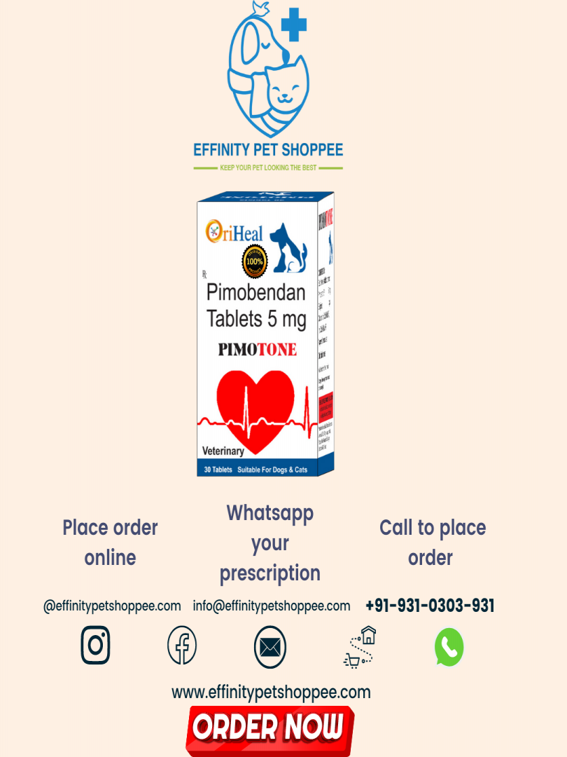 PIMOTONE 5MG ( PIMOBENDAN 5MG ) TABLETS Catalogue Image 1