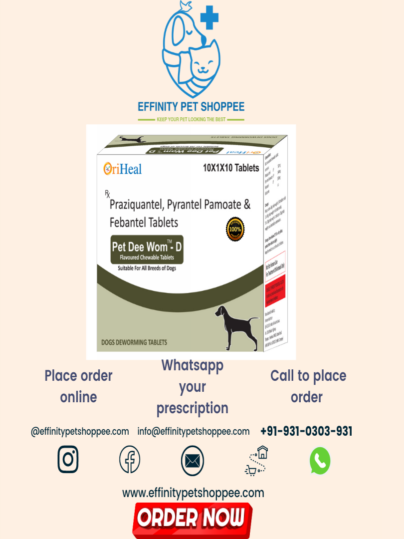 PET DEE WOM - D Catalogue Image 1
