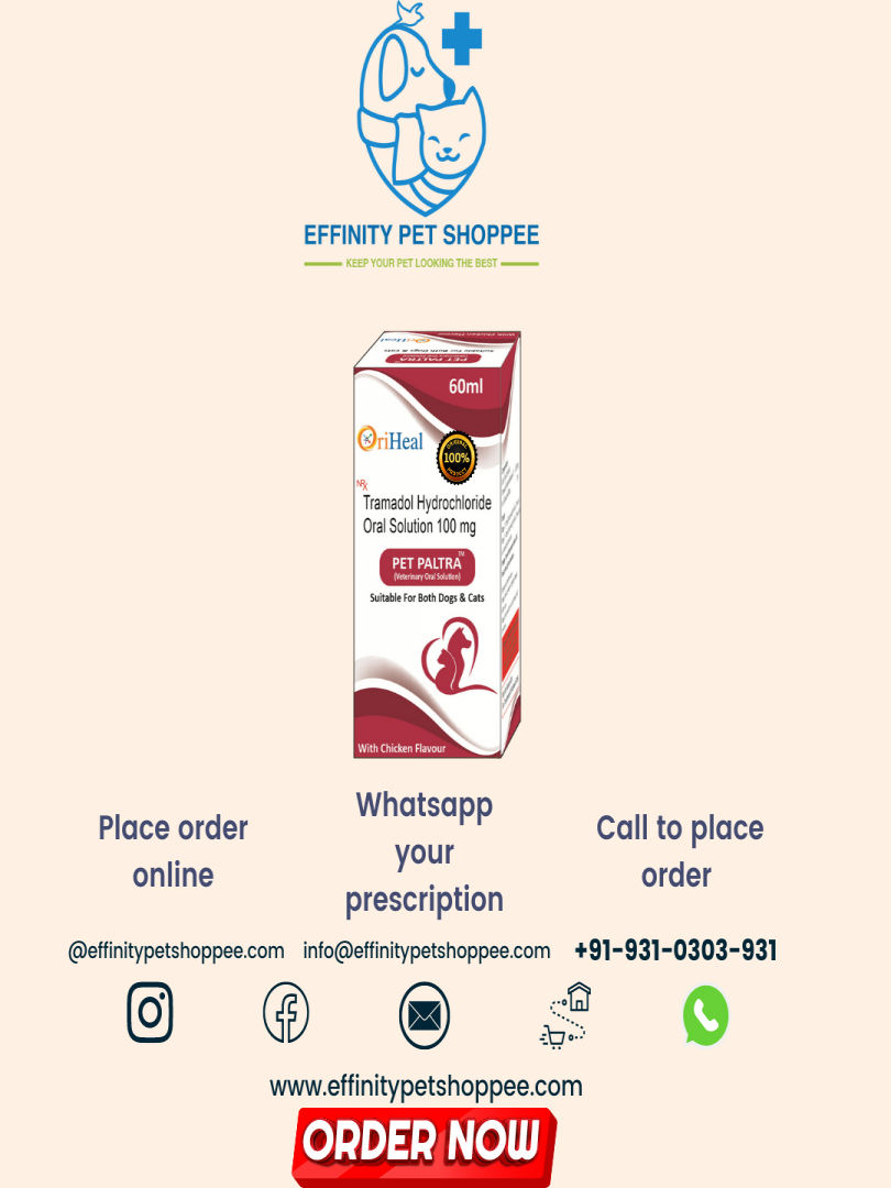 PET PALTRA SOLUTION ( TRAMADOL HCL 100mg/5ml ) WITH CHICKEN FLAVOUR Catalogue Image 1
