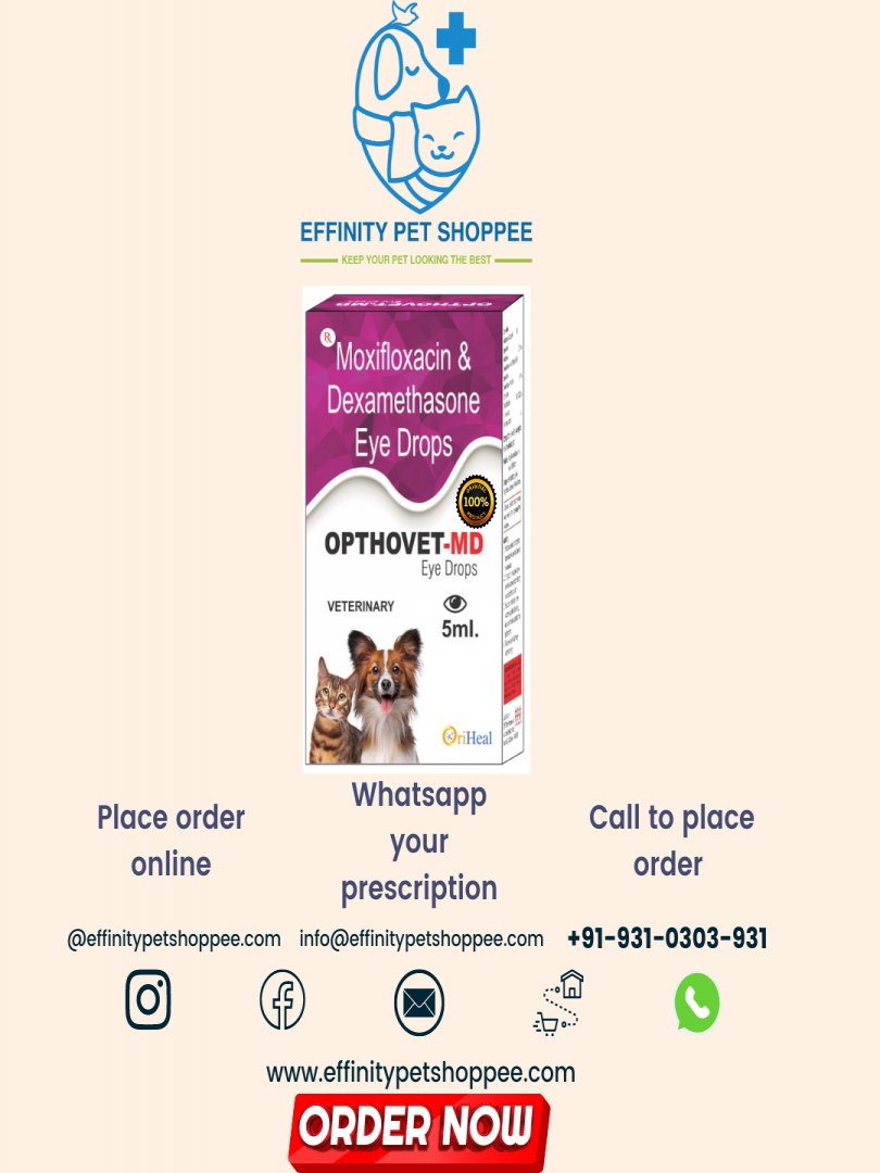 Dexamethasone eye shop drops for dogs