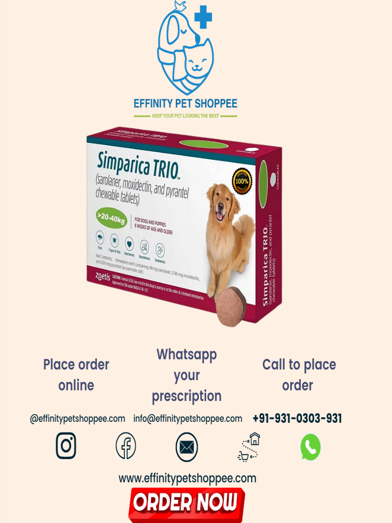 Simparica for dogs best 2024 price