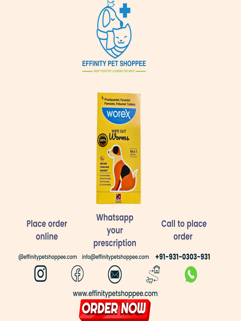 WOREX TAB 2TABS Catalogue Image 1