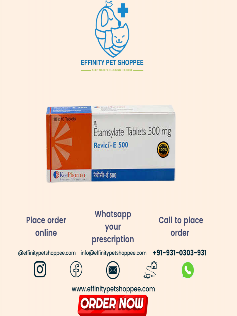 REVICI 500mg Catalogue Image 1