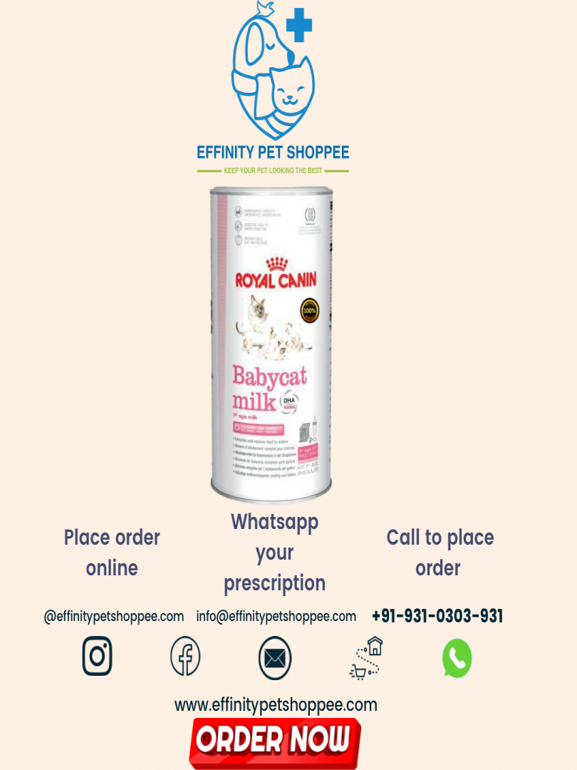 Royal Canin Babycat Milk 300gm on Effinity Pet Shoppe