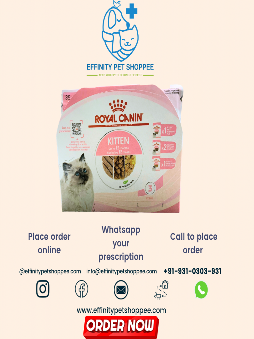 Royal canin kitten clearance box