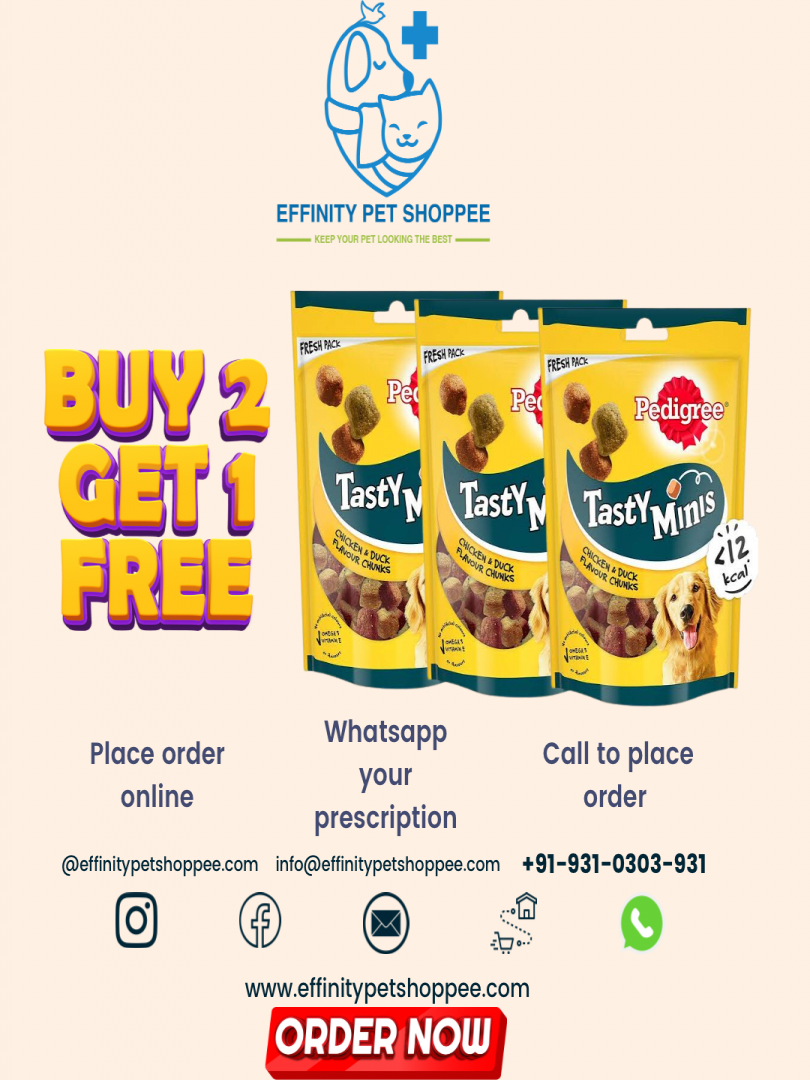 TASTY MINIS ADULT BUY 2 GET 1 FREE Catalogue Image 1