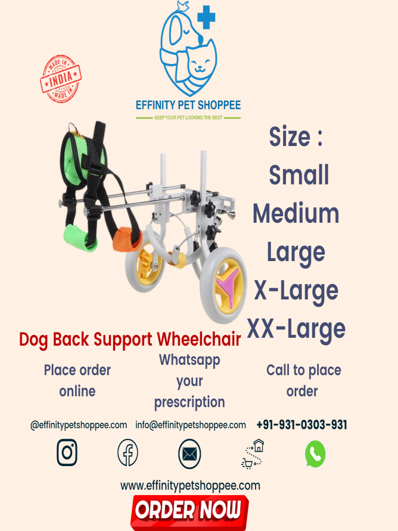 BACK SUPPORT CART WHEEL CHAIR LARGE Catalogue Image 1