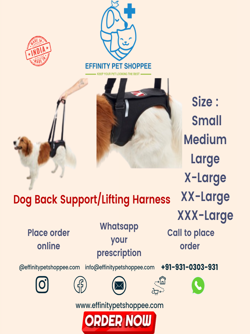 LIFTING HARNESS / BACK SUPPORT BELT XXXL XXX-LARGE Catalogue Image 1