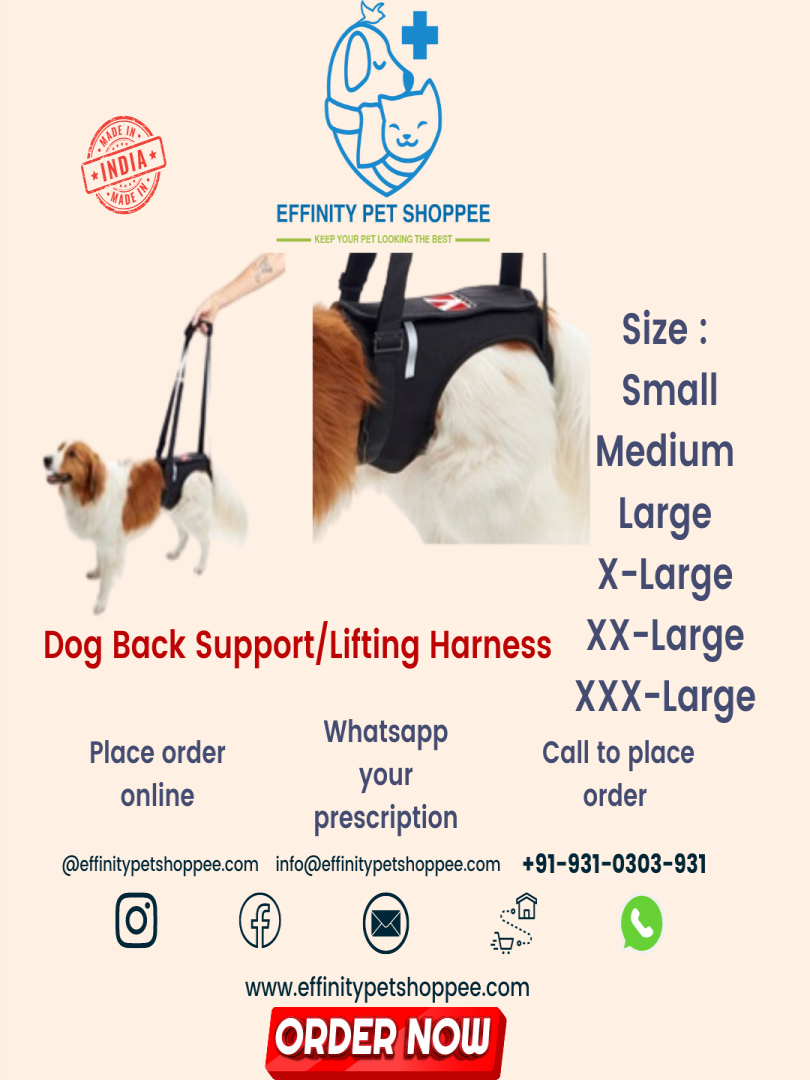 LIFTING HARNESS / BACK SUPPORT BELT XXXL XXX-LARGE on Effinity Pet Shoppe