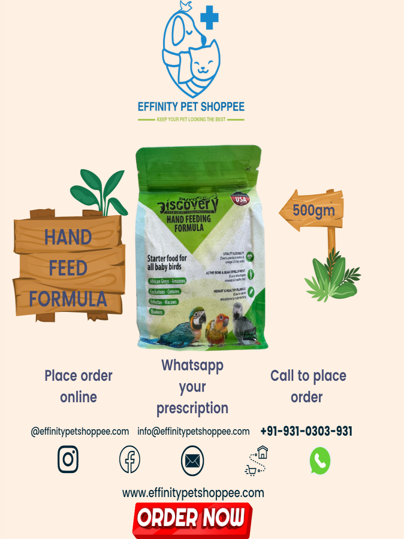 TAIYO PLUSS DISCOVERY HAND FEED FORMULA 500GM Catalogue Image 1