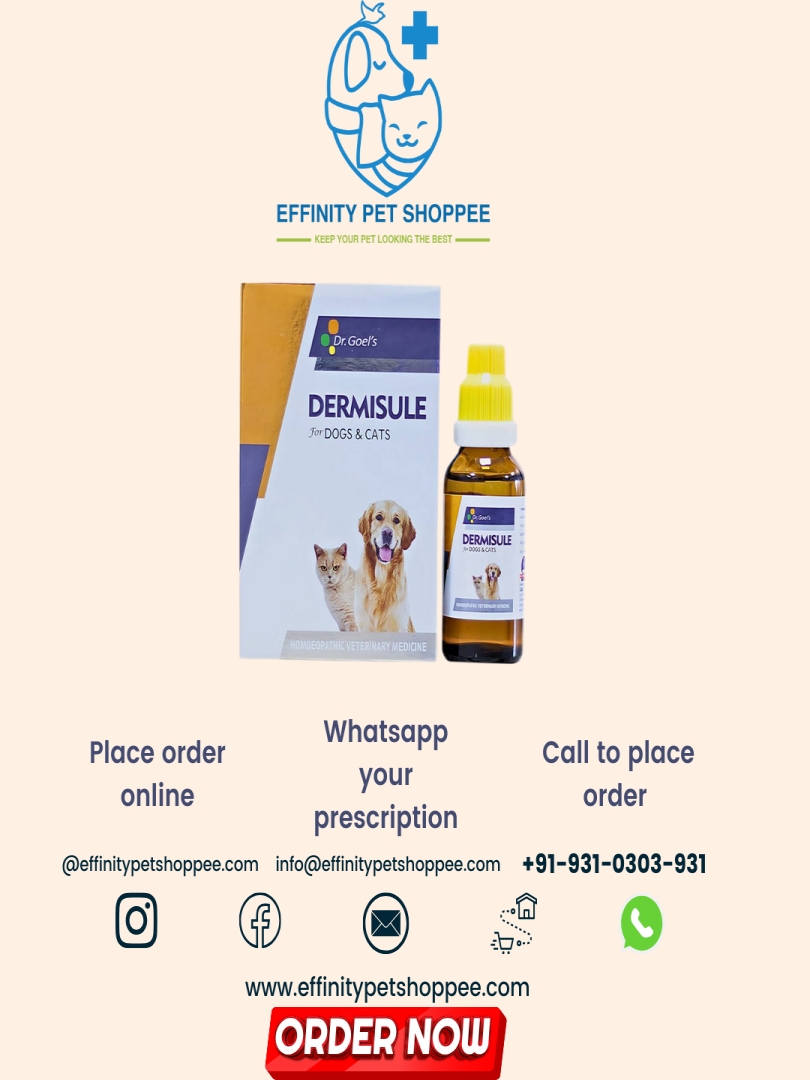 DERMISULE 30ml Skin Infections Catalogue Image 1