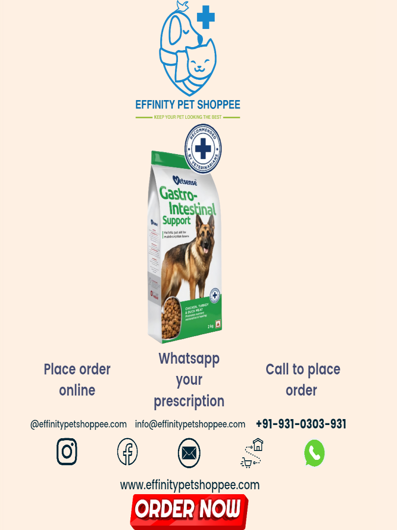 Vetsense Gastrointestinal Support 2kg Catalogue Image 1