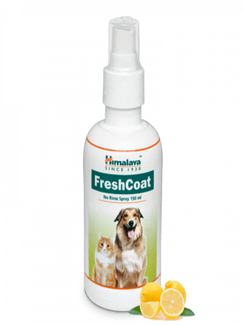 FreshCoat 150ML Catalogue Image 1