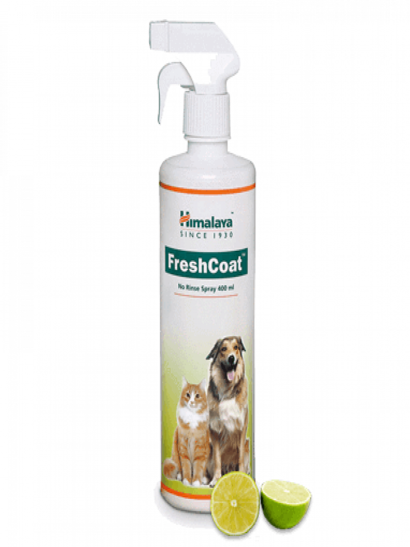 FreshCoat 400ML on Effinity Pet Shoppe