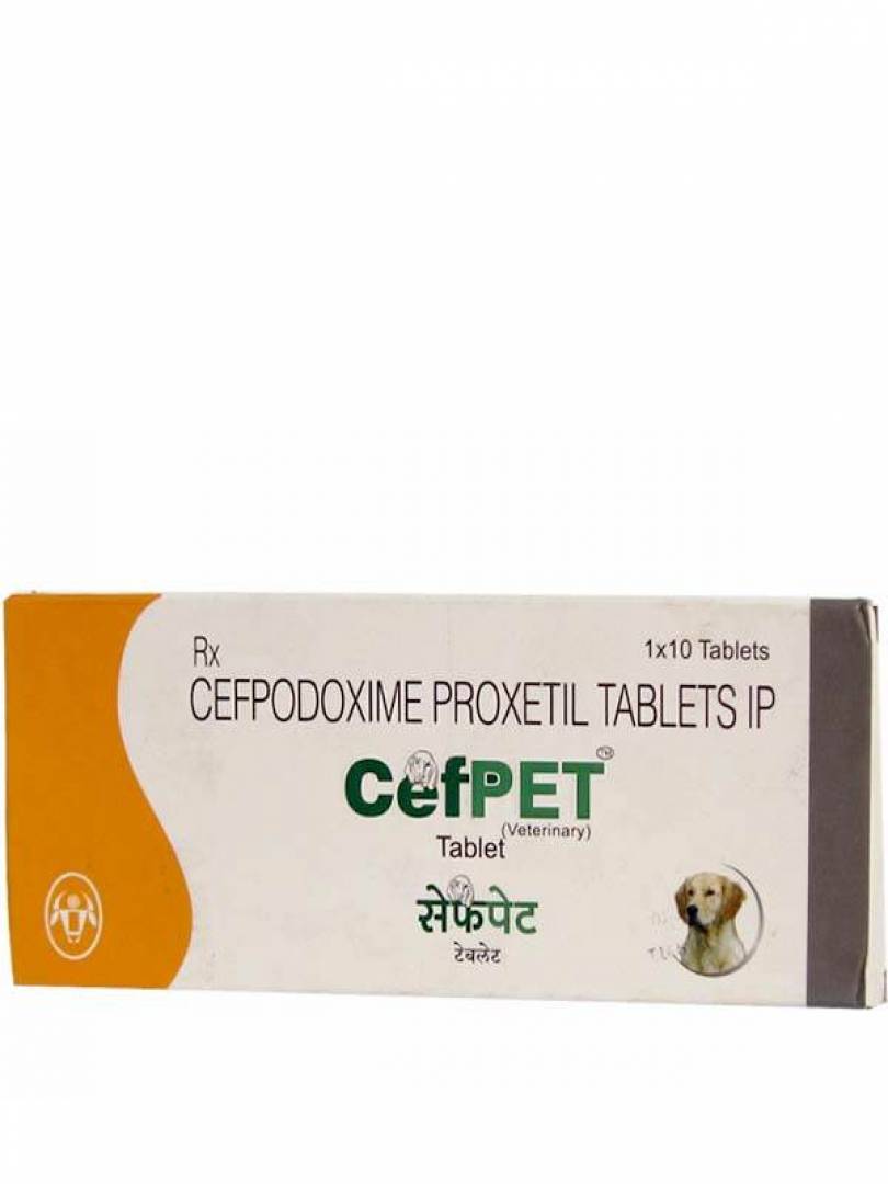 CEFPET 100MG 10TABS Catalogue Image 1