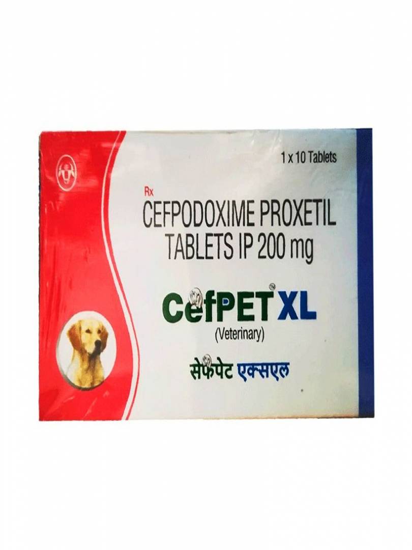 CEFPET XL 200MG 10TABS Catalogue Image 1