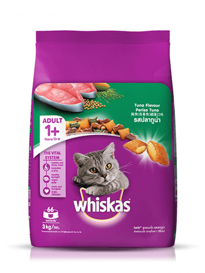 Cat hot sale food 3kg