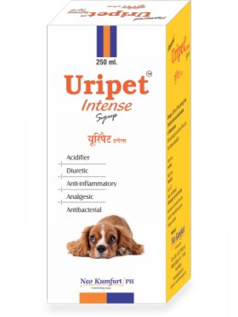 URIPET INTENSE 250ML Catalogue Image 1