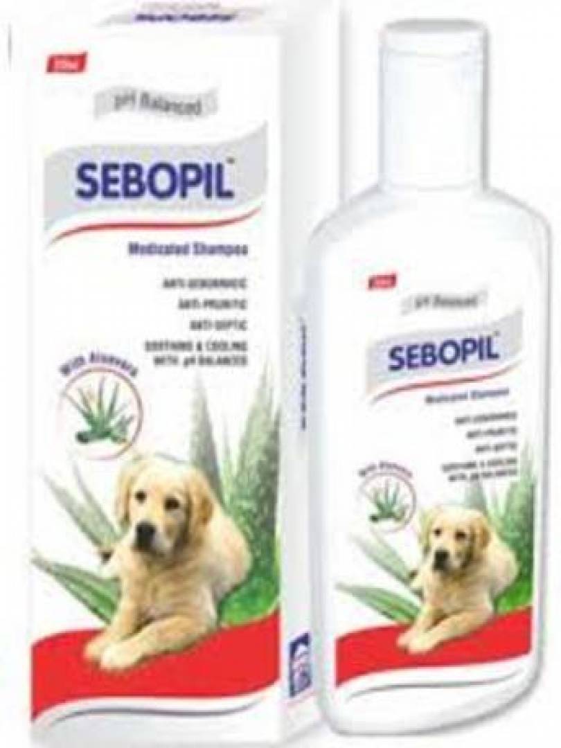 SEBOPIL SHAMPOO 200ML Catalogue Image 1