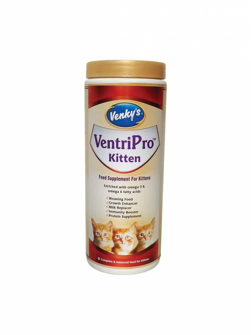 Cerelac 2025 for kittens