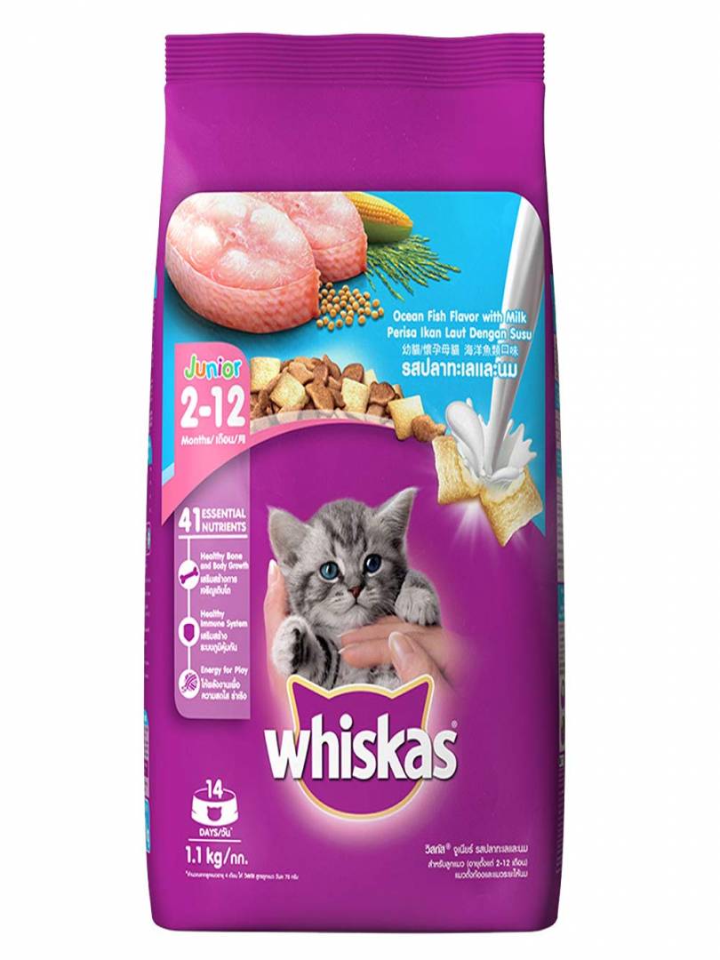 Whiskas Junior (2-12Months) Dry Cat Food, Ocean Fish Flavor, 1.1kg Pack Catalogue Image 1