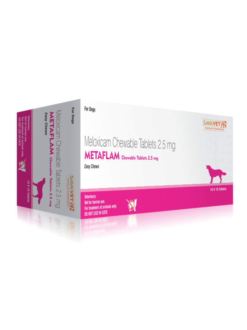 what is metacam used to treat in dogs