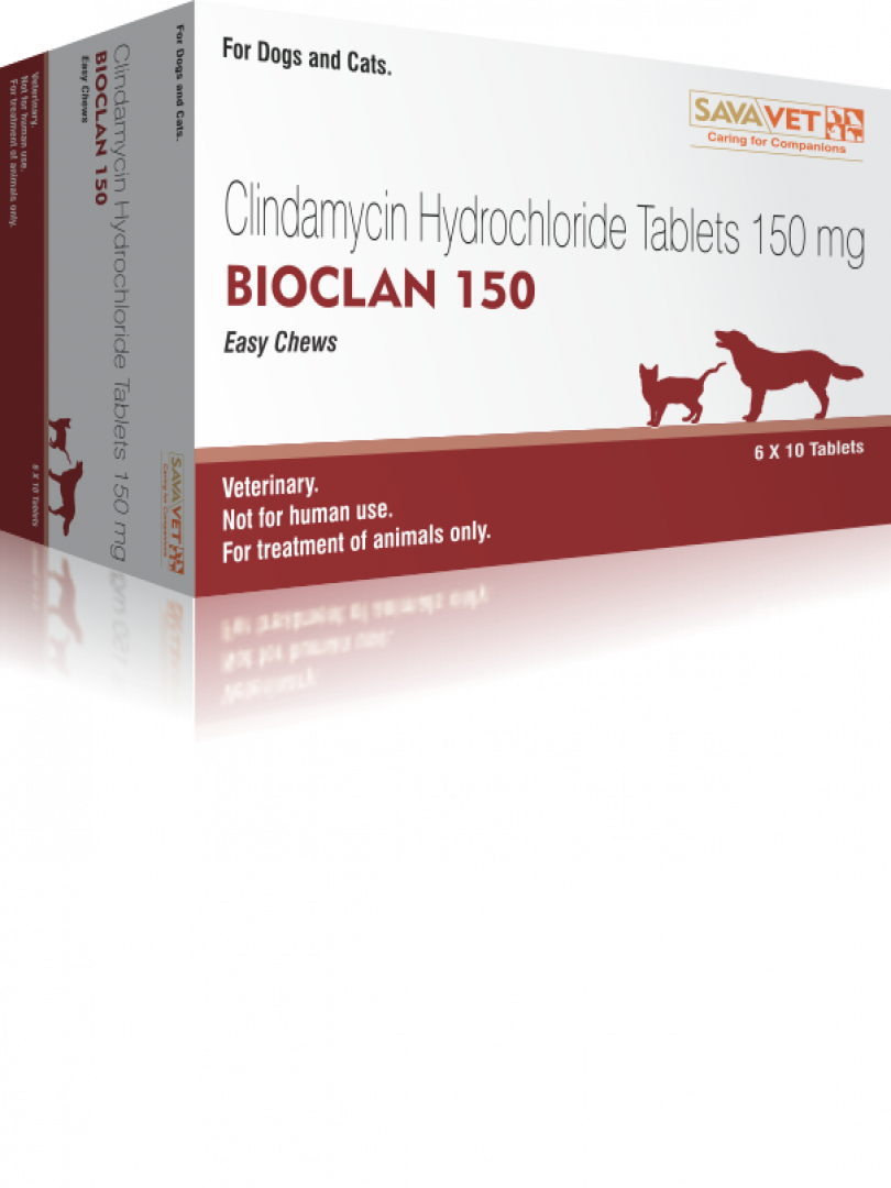 BIOCLAN 150MG (CLINDAMYCIN) 10TABS PACK OF 2 Catalogue Image 1