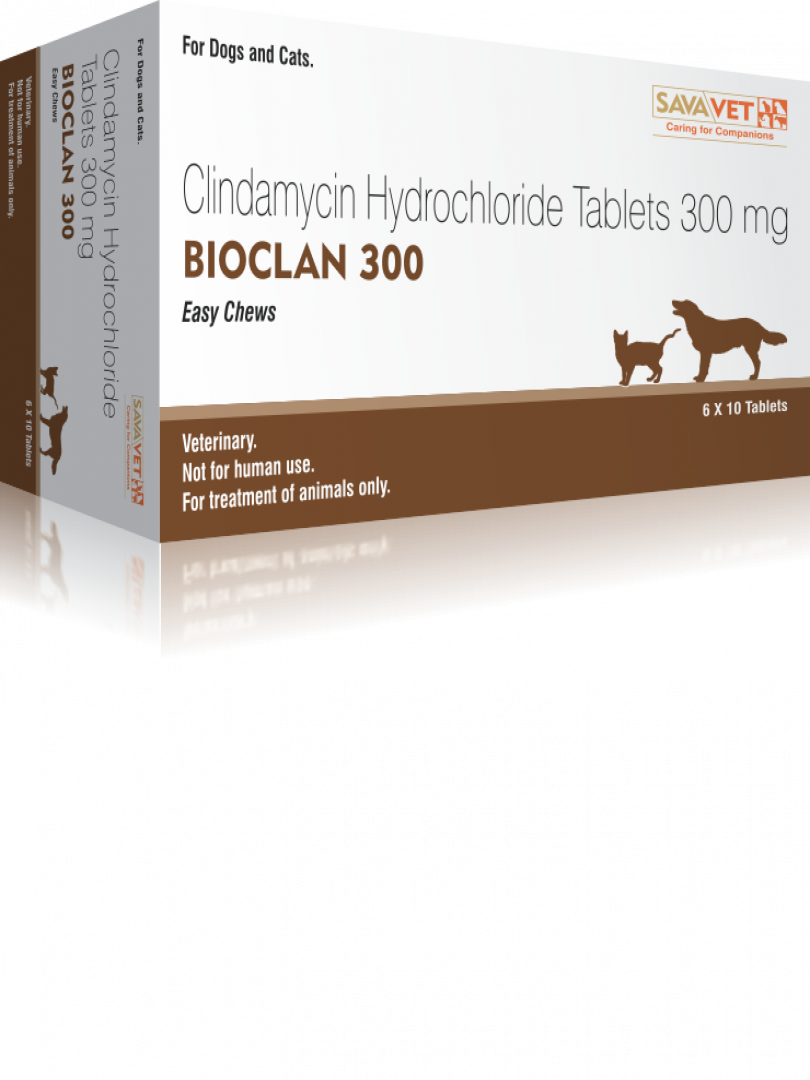 BIOCLAN 300MG (CLINDAMYCIN) 10TABS Catalogue Image 1