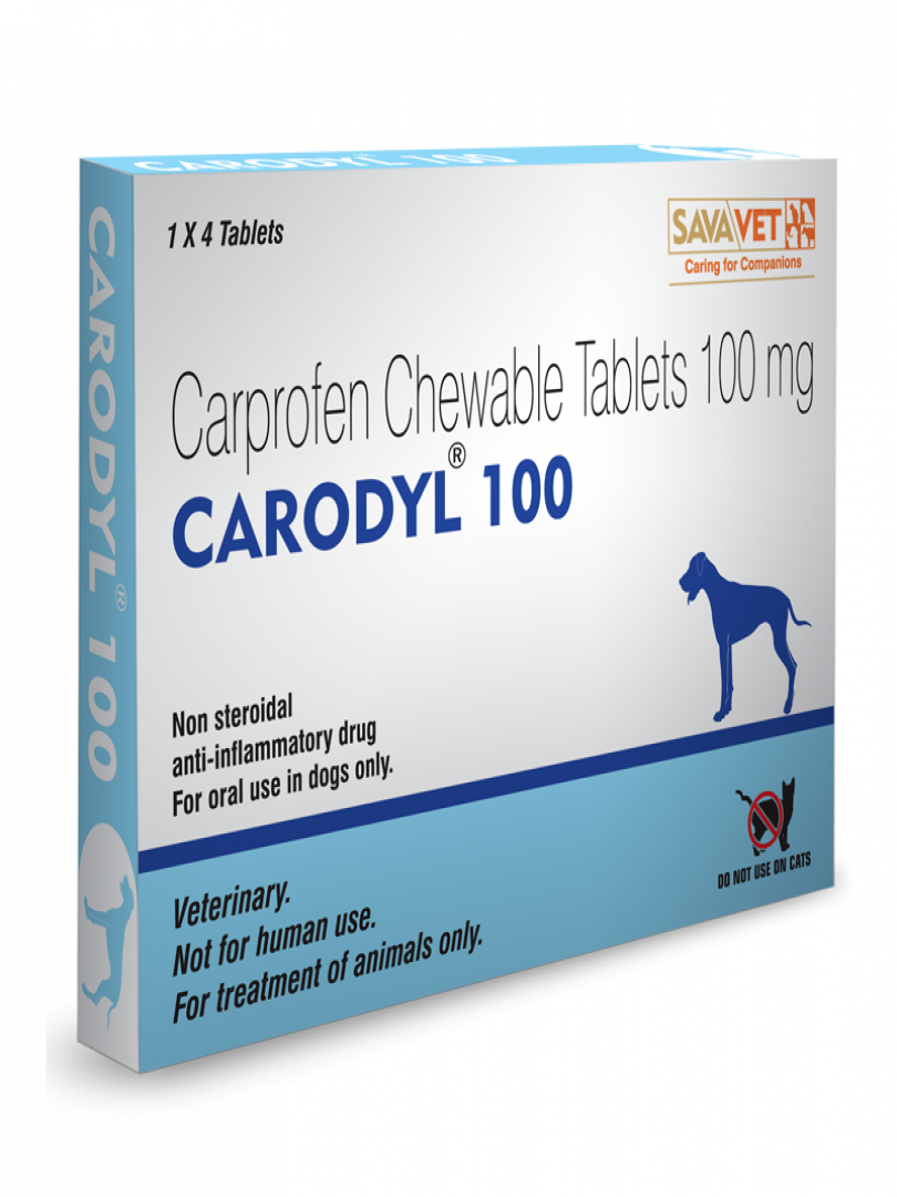 Dog pain meds store carprofen