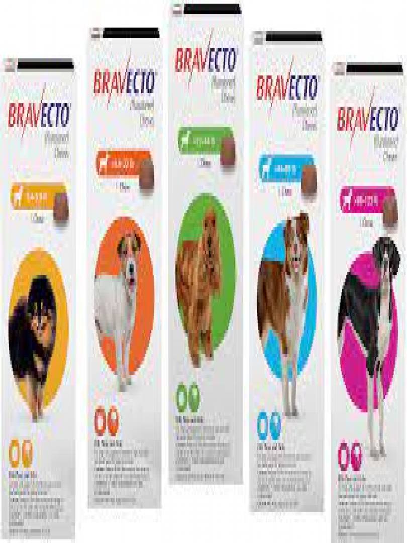 Bravecto 500 outlet mg for dogs