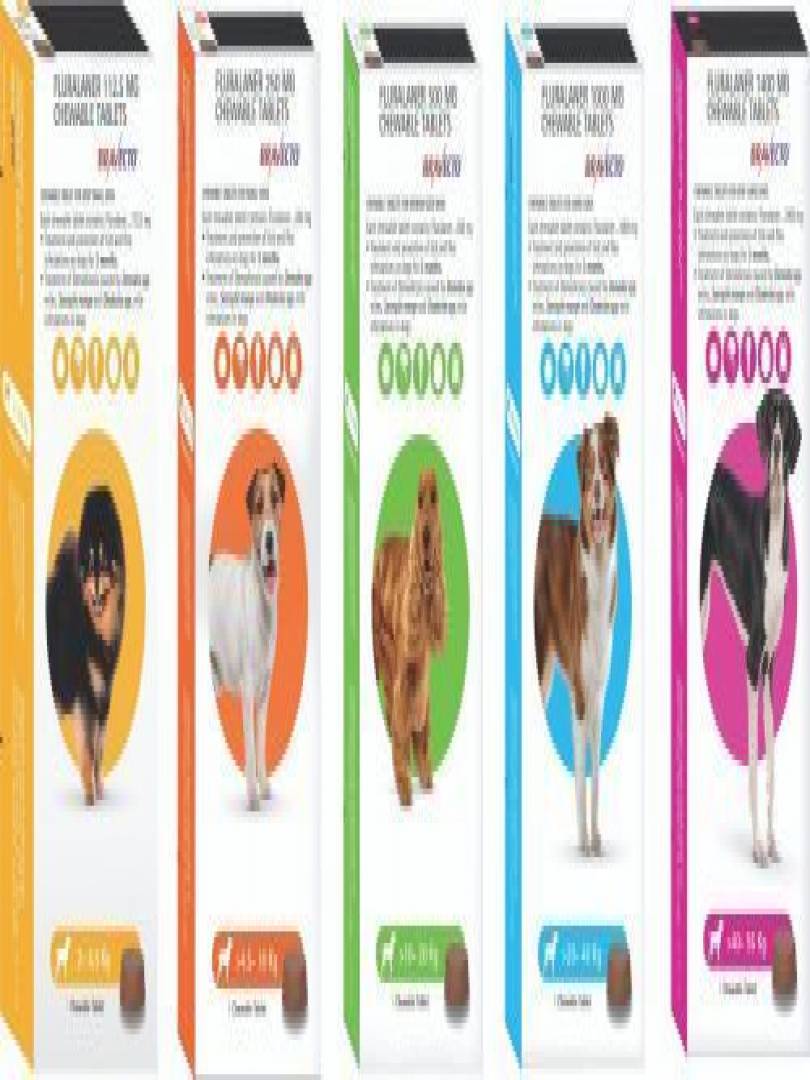 BRAVECTO 1000MG (20-40KG) Catalogue Image 1